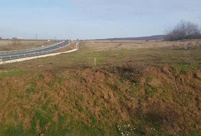 Teren de 3500 mp, în Băile Felix - 5
