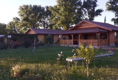 Casă cu 3 camere cu Teren 300 Mp în Horia - 17