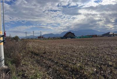 Teren dezvoltare rezidentiala Tarlungeni - zona Izvor - 7