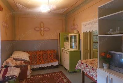 Casa de vanzare cu gradina 8000m - 7