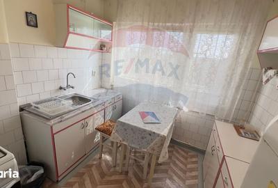 Apartament cu 3 camere semidecomandat în Podgoria - 9