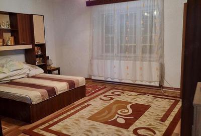 Casă cu 3 camere cu Teren 3505 Mp în Bretea Română - 7