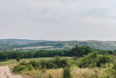 Teren Construcții intravilan de 900 mp, în Paleu