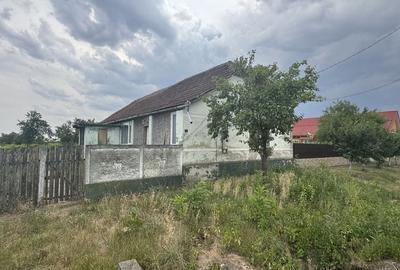 Teren Construcții intravilan de 2700 mp, în Becicherecu Mic
