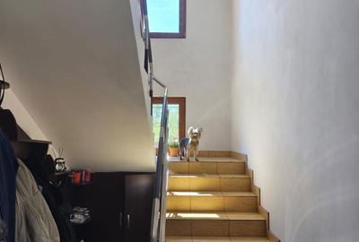 Casă cu 6 camere cu Teren 400 Mp în Podari - 17