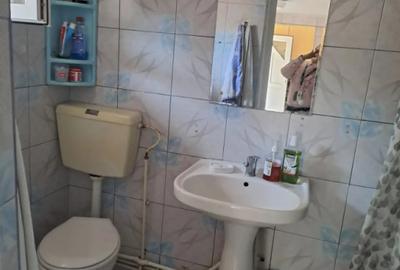 Casă cu 4 camere în Bariera Vâlcii - 14