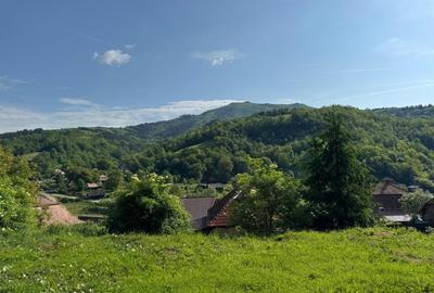 Casa de vanzare, 5 cam., 200 mp. + 5000 mp. teren, Valea Ariesului - 6