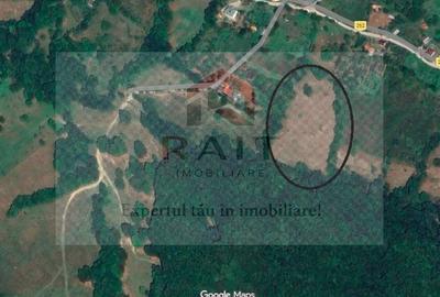 Spațiu comercial, în Turburea - 3