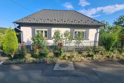 Casă cu 3 camere în Feleac - 9