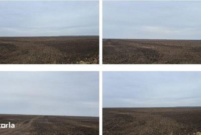 Spațiu comercial, în Tăbărăști