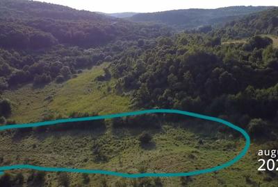 Teren de 5000 mp, în Micești - 4