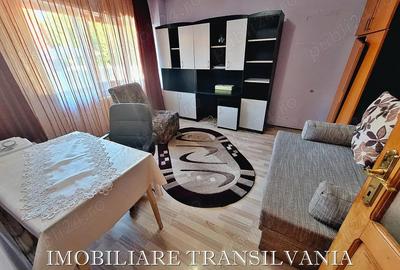 Garsoniera decomandata, parter - zona Sensul vechi, Big - 4