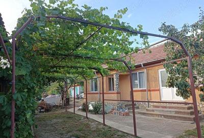 Casa cu curte si gradina - zona linistita si frumoasa - 1