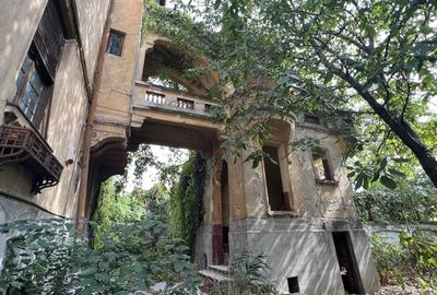 VILA INDIVIDUALA CISMIGIU | INTR. TEMISANA - 2