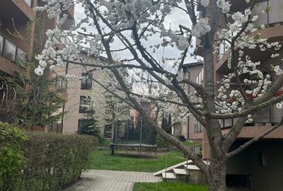 Apartament cu 2 camere decomandat în Mănăștur - 7