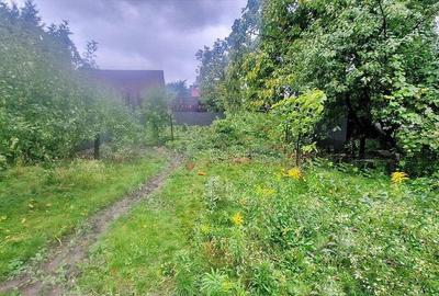 Curte Generoasa Pretabil After School - 15