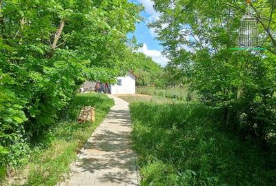 Casa individuala si teren de vanzare in Fagaras - 7