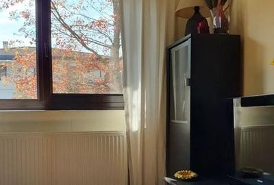 Vanzare vila 5 camere | Langa padure | Bucuresti | Baneasa - 12