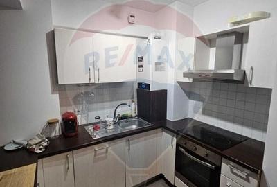 De inchiriat garsoniera spatioasa in Dristor - 6