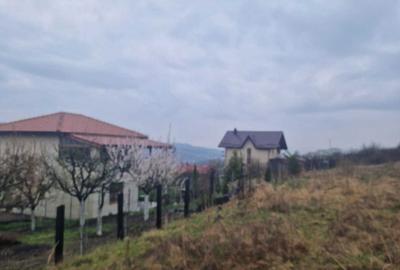 Spațiu comercial, în Chinteni