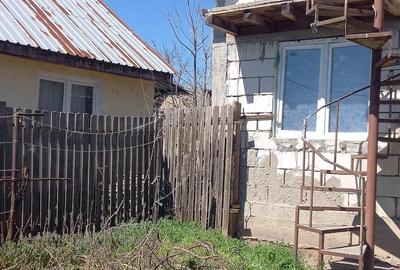 Casă cu 2 camere cu Teren 1500 Mp în Central - 10