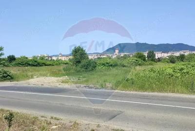 Teren de vanzare Baia Mare, Strada Dumbravei - 2