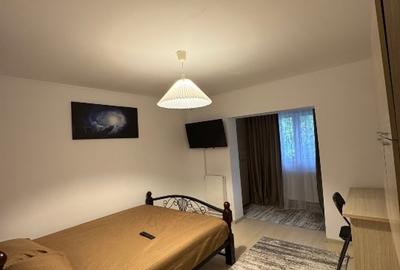 Apartament Craiovita Noua - 3