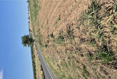 Teren de 3623 mp, în Episcopia Bihorului