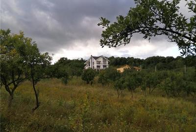 Teren de 2200 mp, în Dealul Malului - 2