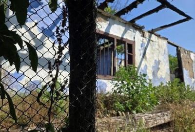 Casă cu 1 camere cu Teren 1200 Mp în Cucuruzu - 4