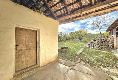 CASA 3 CAMERE + LIVING | 1790 MP TEREN | SAT RAPA | BIHOR - 26