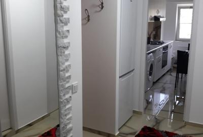 Garsonieră decomandată, mobilată în Nerva Traian - 6