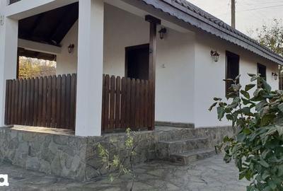 Casă cu 1 camere cu Teren 2000 Mp în Lăpuș Argeș - 5