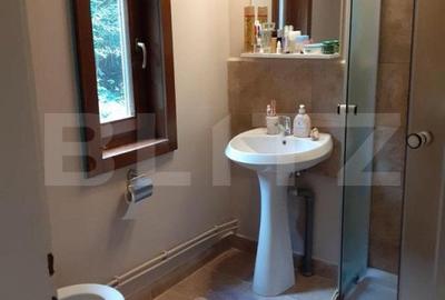 Cabana  cu teren 1364mp, zona Bucin - 3