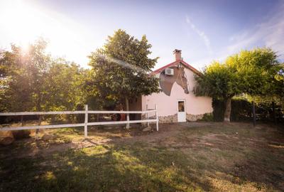 Casă cu 2 camere în Zădăreni - 1