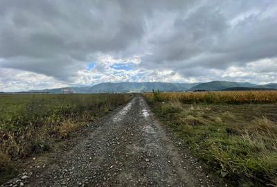 Teren industrial pretabil hala P.U.Z aprobat! Teren industrial pretabil hala P.U.Z aprobat! - 3