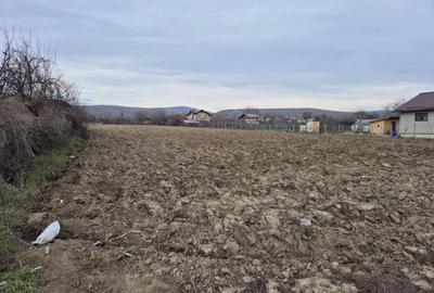 Spațiu comercial, în Ceptura - 4