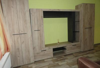 Apartament 1 camera la parter intr-un bloc de apartamente in Vlaicu, renovat, mobilat - 9