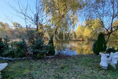 MANSOIN LAKE FRONT - 2600MP - PIPERA - 7