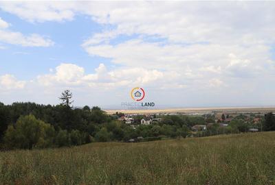 Teren intravilan cu PUZ si PUD 2 loturi - 14