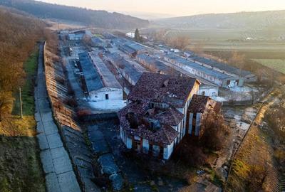Fosta Ferma a Partidului de la Horgesti - de vanzare - 13
