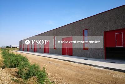 Hale industriale, parc modern, Rudeni, Chitila, Ilfov- ID 15462 Hale industriale, parc modern, Rudeni, Chitila, Ilfov- ID 15462 - 10