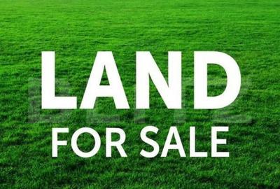 Oportunitate de investitie! 600 mp teren, P+1+M, Ghiroda - 2