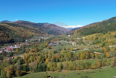 Teren de vanzare in Leresti - ideal pentru casa sau pensiune la munte - 3