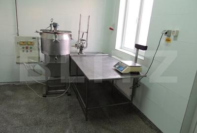 Cladire de vanzare (fosta fabrica de lactate) Cladire de vanzare (fosta fabrica de lactate) - 5