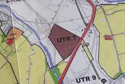 Inchiriez 10.000 mp Halinga - 4