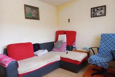 Casă cu 6 camere în Mintia - 2