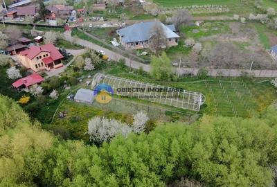 Casă individuală cu 4 camere cu Garaj în Gura Văii - 4