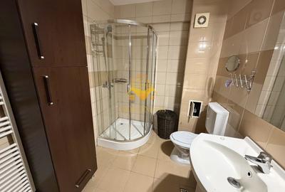 Apartament cu 2 camere semidecomandat, mobilat în Bună Ziua - 7