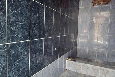 Casă cu 2 camere cu Teren 1585 Mp în Brănișca - 3